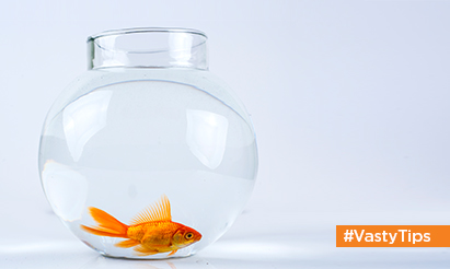 Get a fish aquarium & bring positivity into your home- Vastu Shastra tips