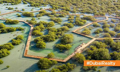 Everything you need to know about the Jubail Mangrove Park in Abu Dhabi